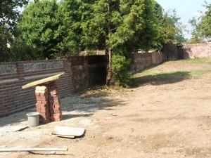 Garden Wall Cleaning