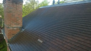 Roof Cleaning
