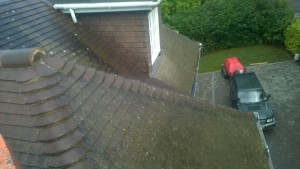 Roof Cleaning