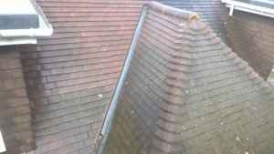 Roof Cleaning