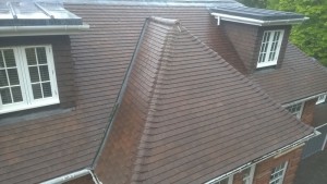 Roof Cleaning
