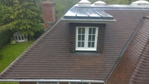 Roof Cleaning